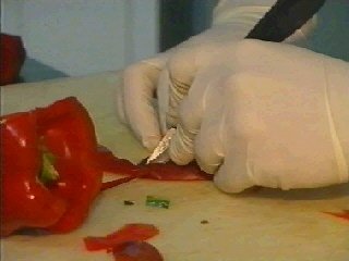 FOTO-H3 (8)